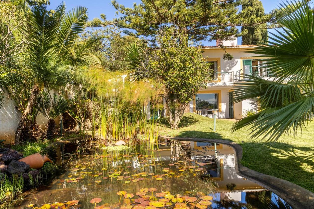 Villa Echium T1 Caniço Dış mekan fotoğraf