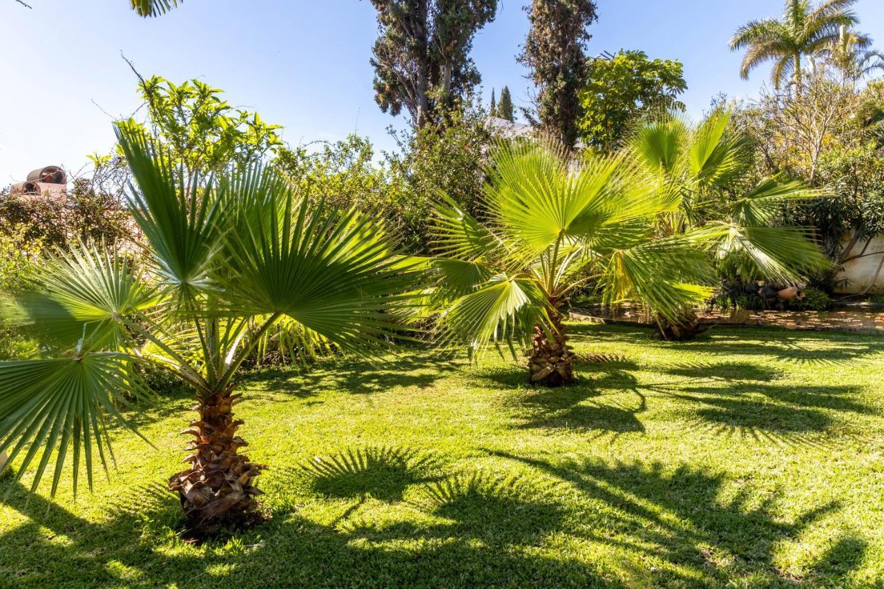 Villa Echium T1 Caniço Dış mekan fotoğraf