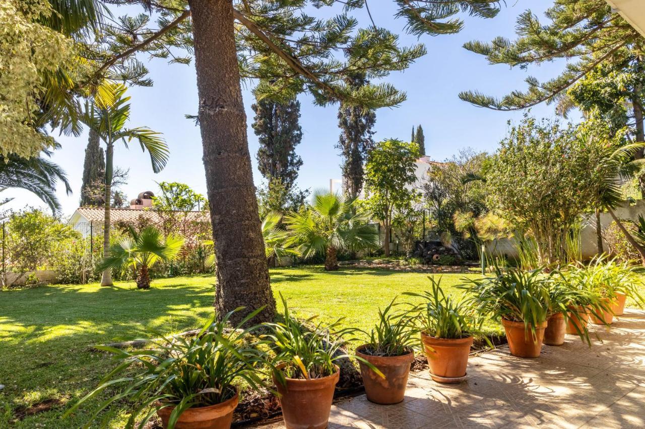Villa Echium T1 Caniço Dış mekan fotoğraf