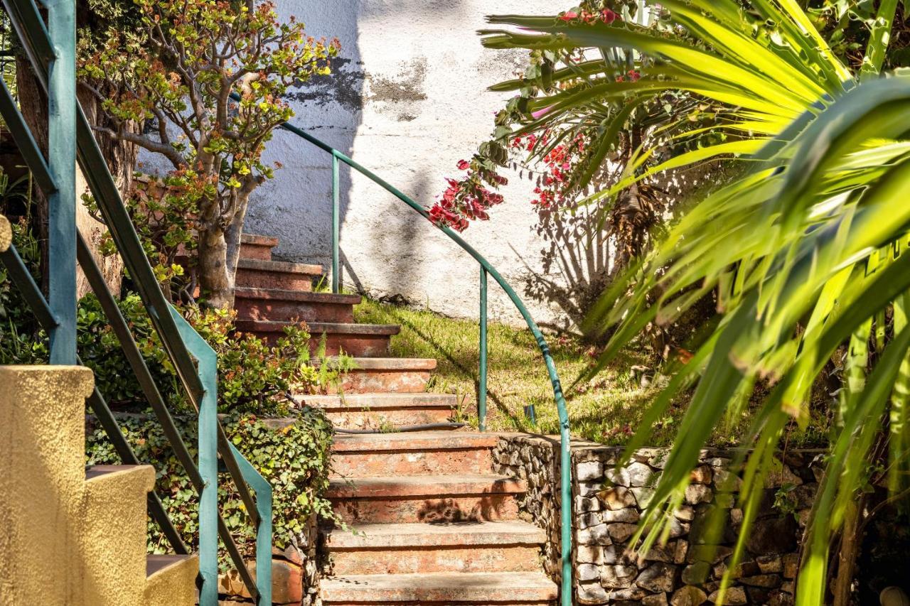 Villa Echium T1 Caniço Dış mekan fotoğraf